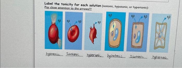 Label the tonicity for each solution