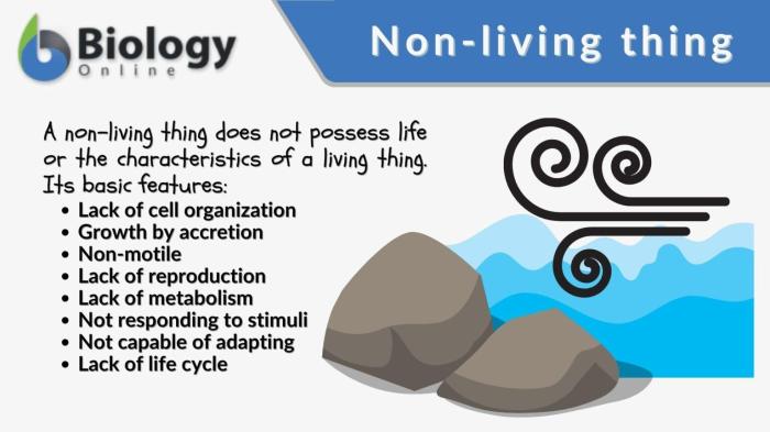 Brainpop jr living and nonliving