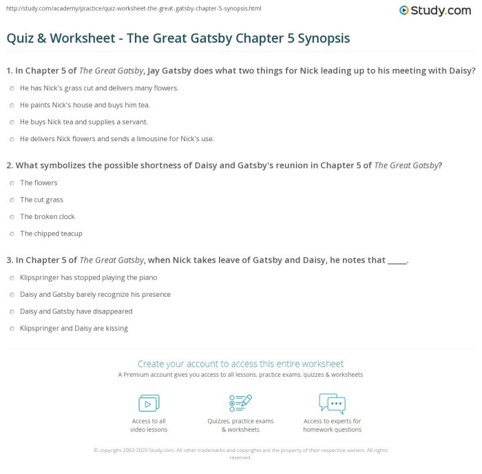 The great gatsby chapter questions