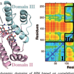 Ligand docking interaction proteins scu residues biomarkers involved uncovers anticancer comparative proteomic gastric cancer binding