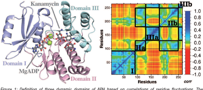 Ligand docking interaction proteins scu residues biomarkers involved uncovers anticancer comparative proteomic gastric cancer binding