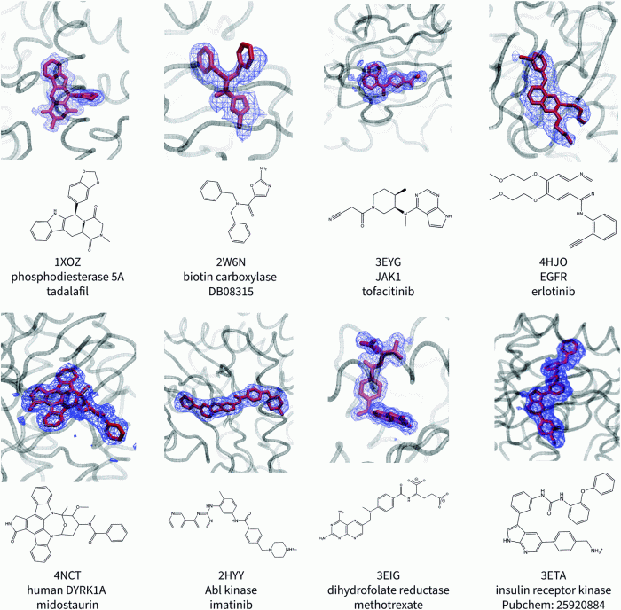 Protein a has a binding site for ligand x